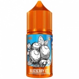 Жидкость Rell Orange Salt Blueberry Ice (30 мл)
