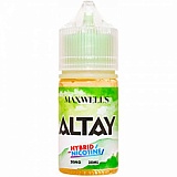 Hybrid Altay